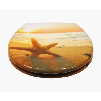 Schütte SEA STAR | Duroplast, Soft Close