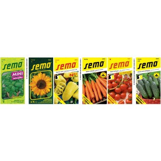 Semo propagace: Maketa Semo