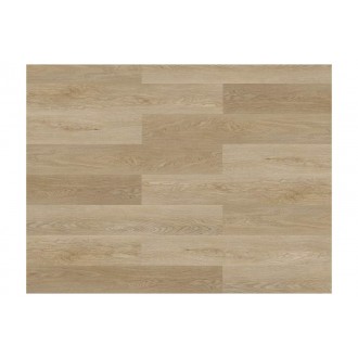 Experto Click SPC 50 88065L-008 Dub Bari