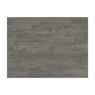 Basic EBL042 7/31 V4 Avery Eiche grau Classic CLIC It