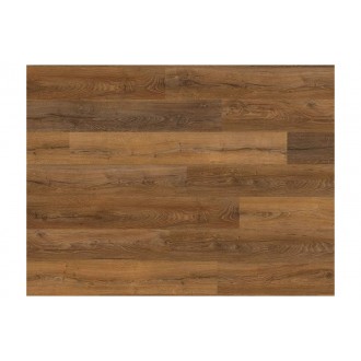 Basic 2021 8/31 EBL030 Livingston Eiche tabak Classic CLIC It