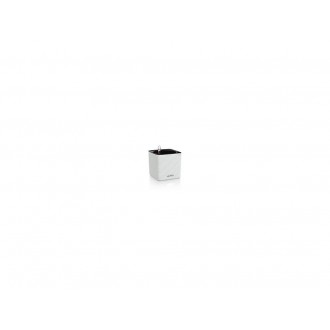 Lechuza CUBE Color 16