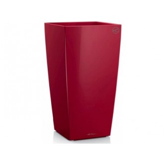 Lechuza CUBICO Premium 30