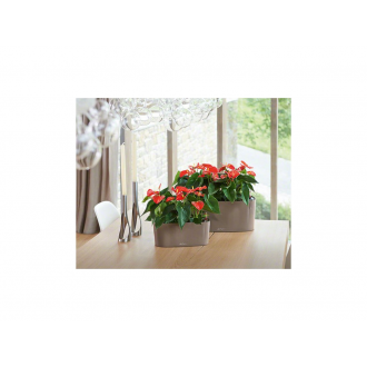 Lechuza DELTA 20 Table planter