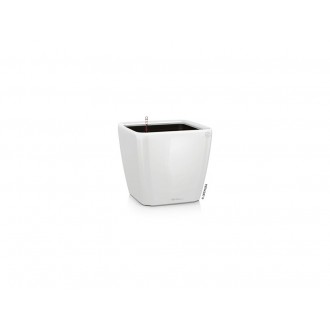 Lechuza QUADRO Premium 21 LS