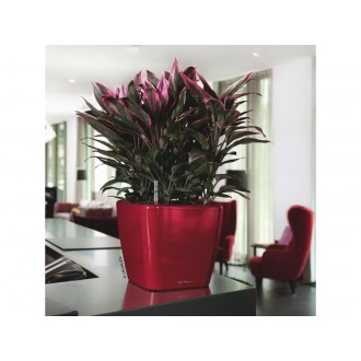 Lechuza QUADRO Premium 35 LS