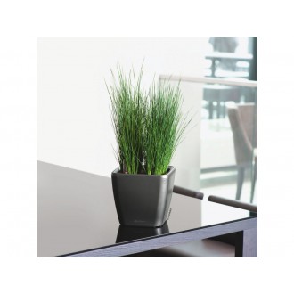 Lechuza QUADRO Premium 35 LS