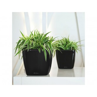 Lechuza QUADRO Premium 35 LS