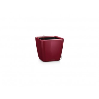 Lechuza QUADRO Premium 35 LS